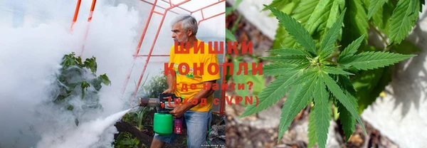 МДПВ Белокуриха