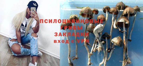МДПВ Белокуриха
