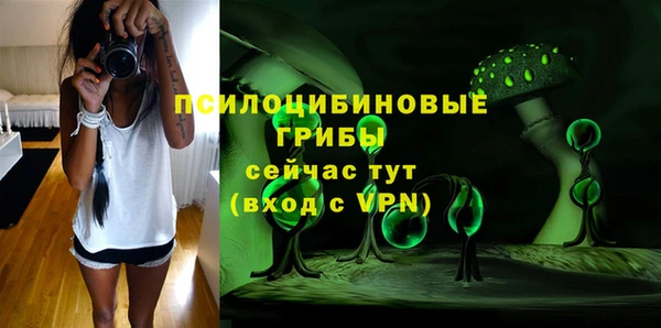 МДПВ Белокуриха